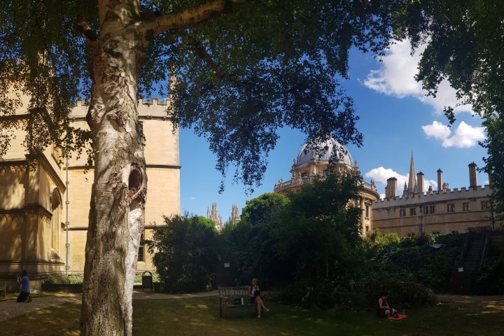 a tree in front of a building