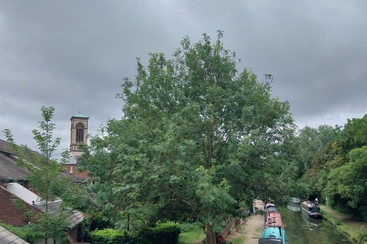 Narrowboats on a canal near a grassy path and red brick buildings under a cloudy sky.